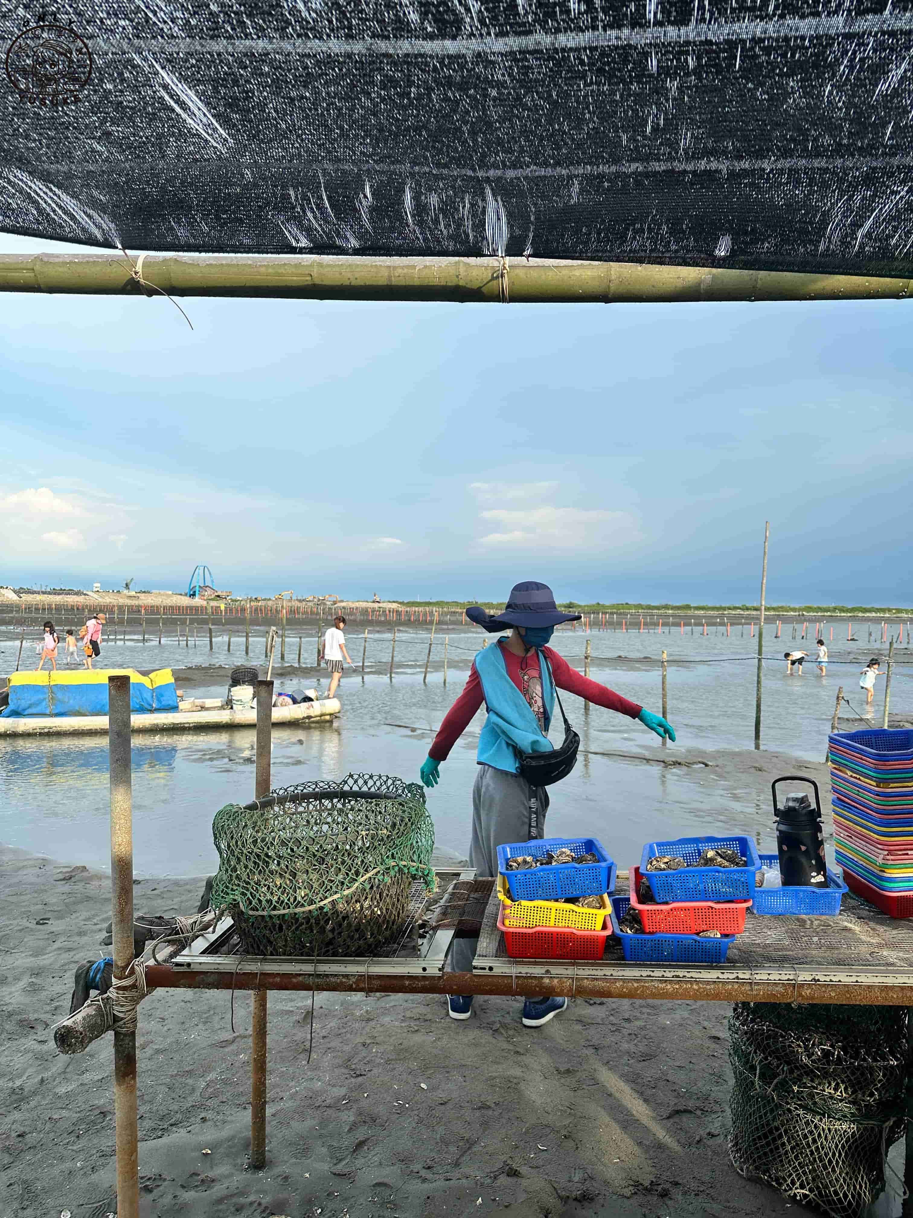 王功ㄚ瑋採蚵車