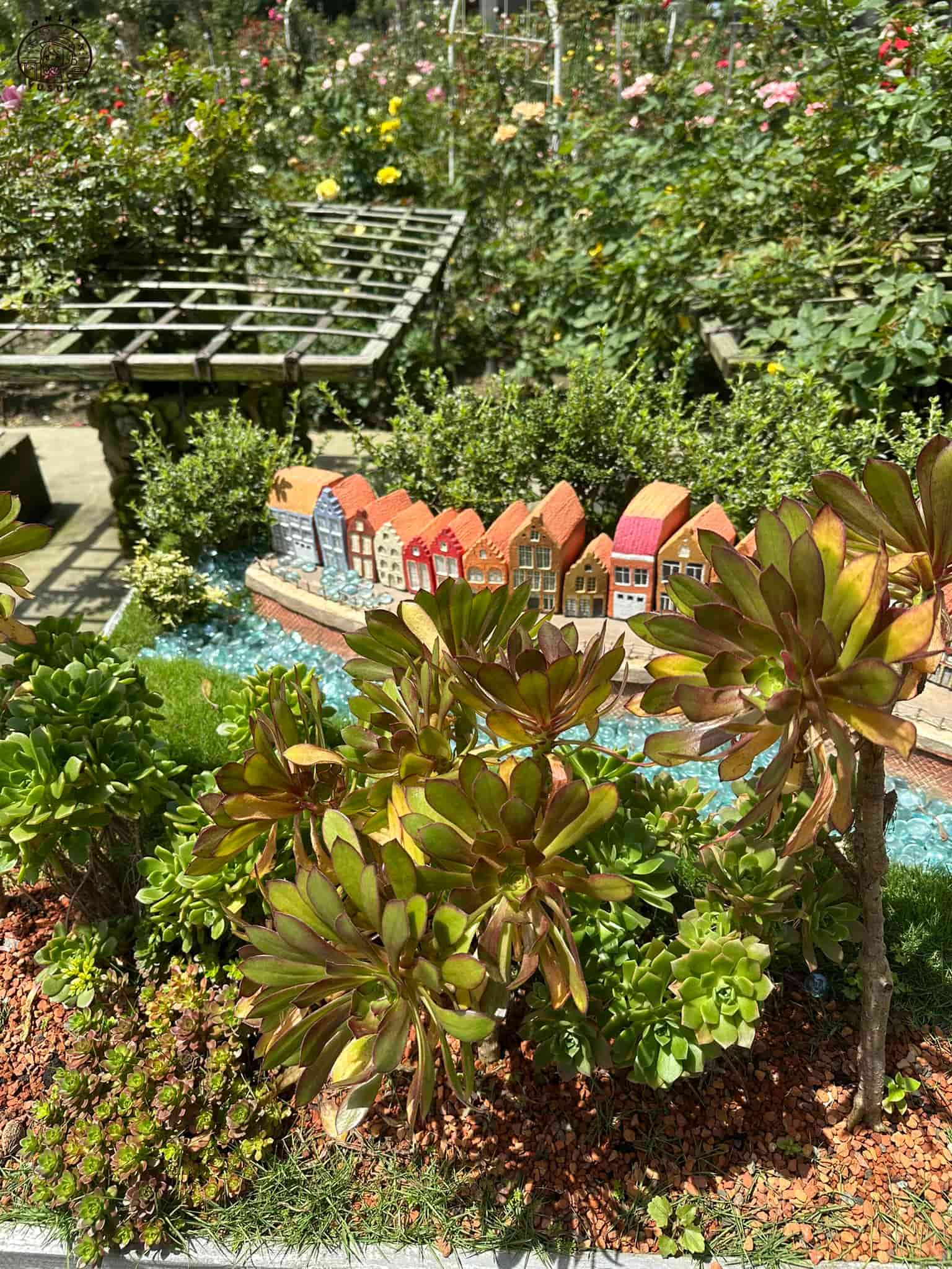 雅聞七里香玫瑰森林介紹