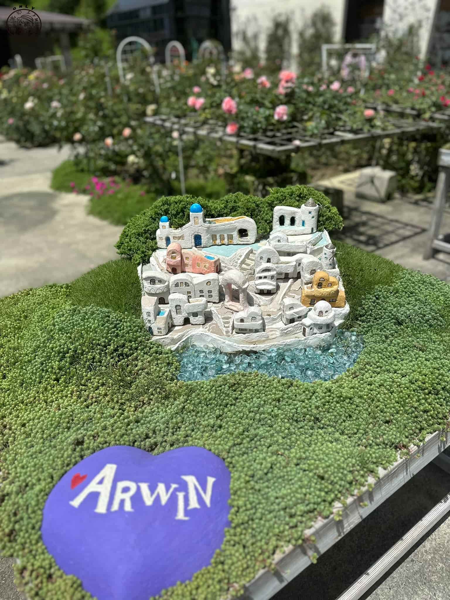 雅聞七里香玫瑰森林介紹