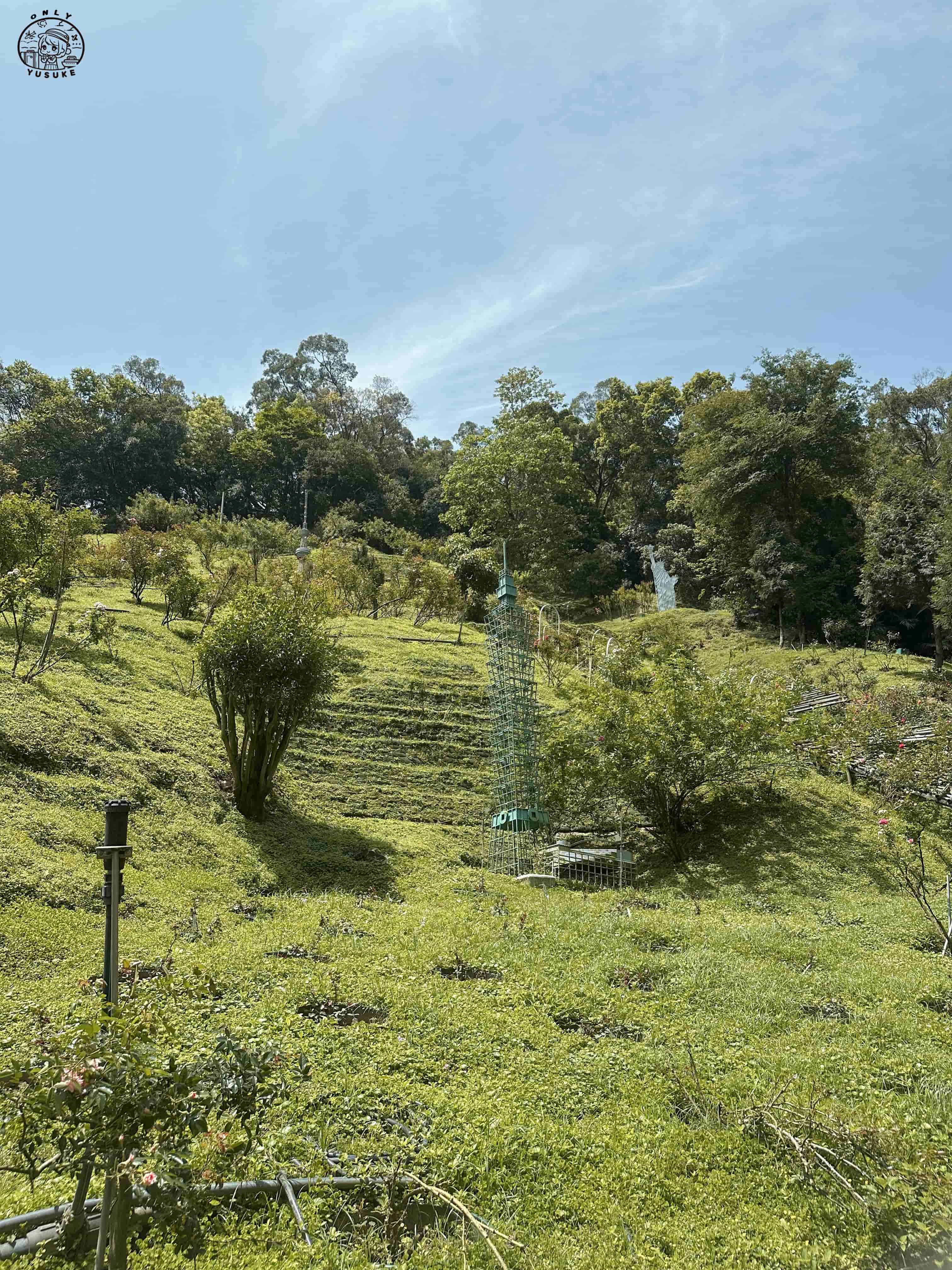 雅聞七里香玫瑰森林介紹