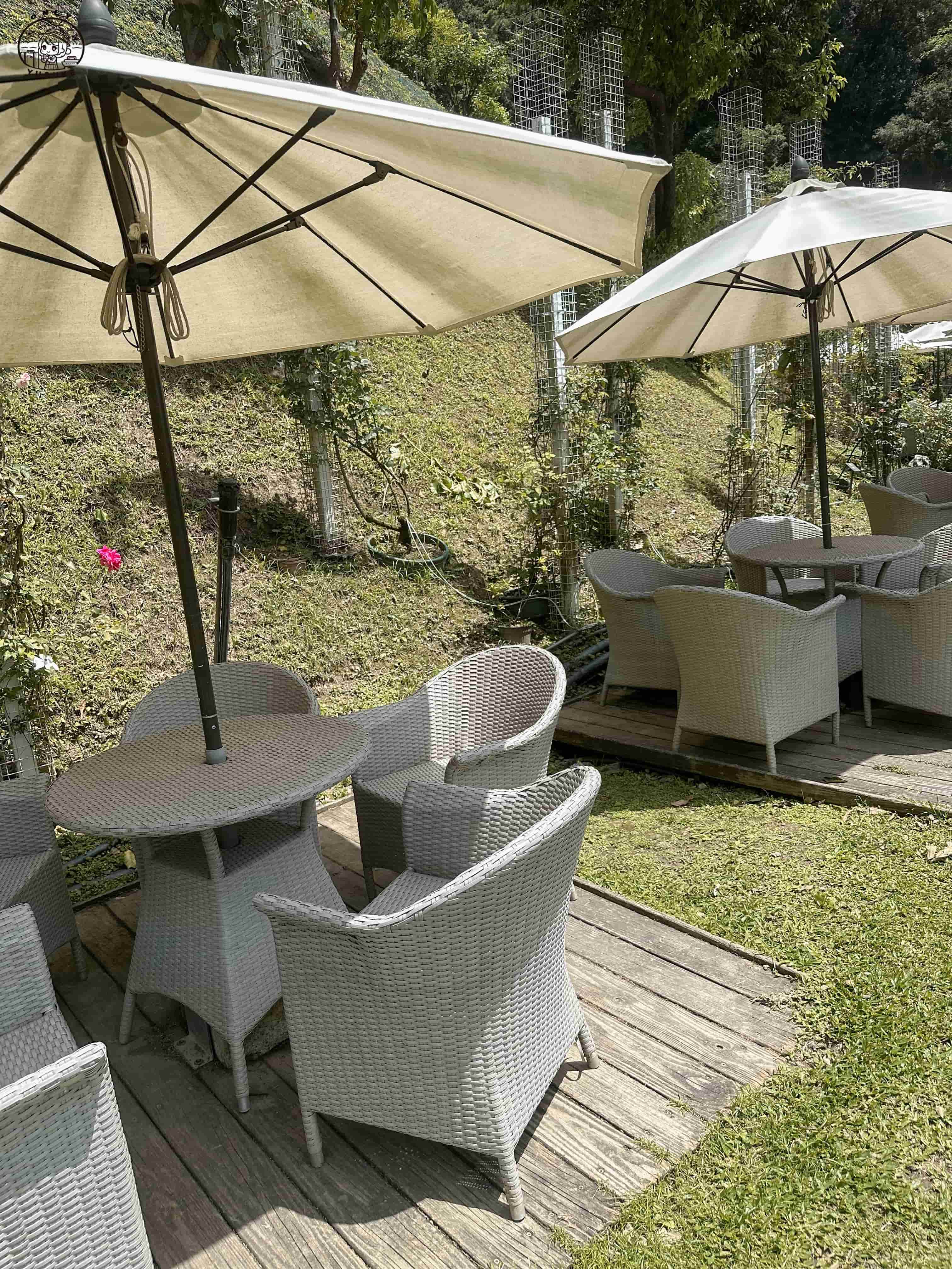 雅聞七里香玫瑰森林介紹