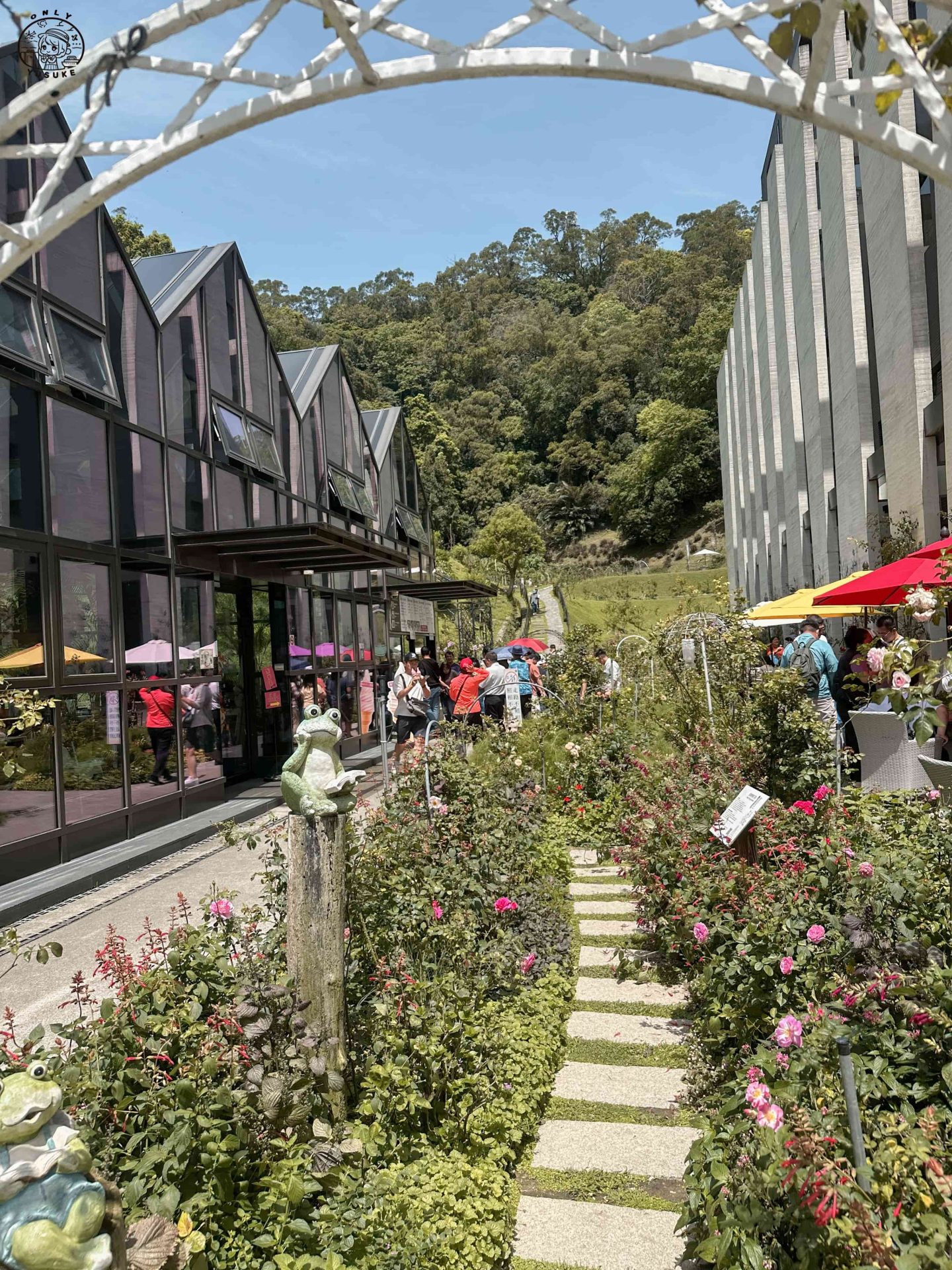 雅聞七里香玫瑰森林介紹